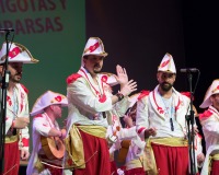 Encuentro-Comparsas-y-Chirigotas-Carnaval-2018_524