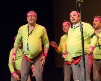 Encuentro-Comparsas-y-Chirigotas-Carnaval-2018_534