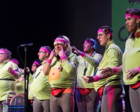 Encuentro-Comparsas-y-Chirigotas-Carnaval-2018_535