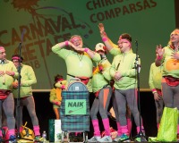 Encuentro-Comparsas-y-Chirigotas-Carnaval-2018_544