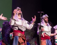 Encuentro-Comparsas-y-Chirigotas-Carnaval-2018_568
