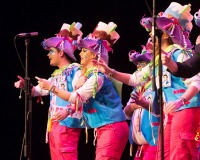 Encuentro-Comparsas-y-Chirigotas-Carnaval-2018_585