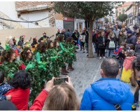 Comparas-y-chirigotas-en-la-Calle_008