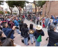 Comparas-y-chirigotas-en-la-Calle_035