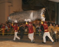 Entierro-de-la-Sardina-Carnaval-2005_036