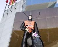 Carnavales de Getafe