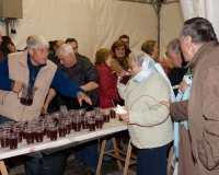 Carnavales de Getafe