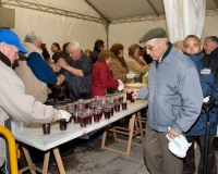Carnavales de Getafe