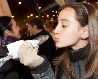 Carnavales de Getafe
