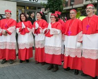 Carnavales de Getafe