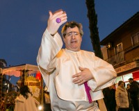 Carnavales de Getafe