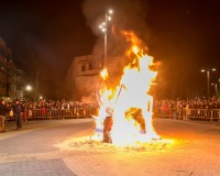 Carnavales de Getafe