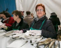 Carnavales de Getafe