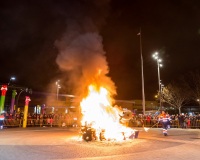 Carnavales de Getafe