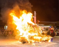 Carnavales de Getafe