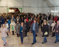 Carnavales de Getafe