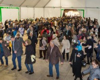 Carnavales de Getafe