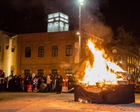 Carnavales de Getafe