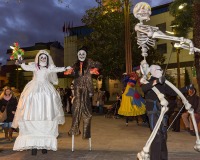 Carnavales de Getafe