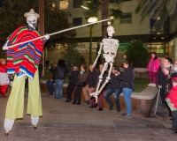 Carnavales de Getafe