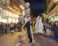 Carnavales de Getafe