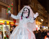 Carnavales de Getafe