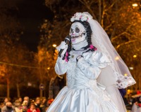 Carnavales de Getafe