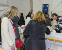 Carnavales de Getafe