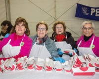 Carnavales de Getafe