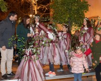 Carnavales de Getafe