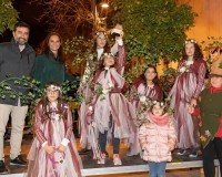 Carnavales de Getafe