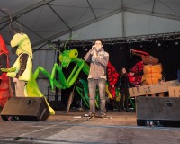 Carnavales de Getafe