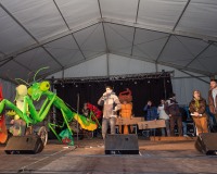 Carnavales de Getafe