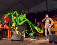 Carnavales de Getafe