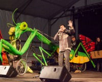 Carnavales de Getafe