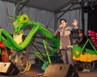 Carnavales de Getafe