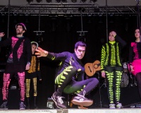 Carnavales de Getafe