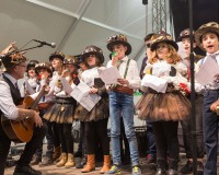 Carnavales de Getafe