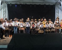 Carnavales de Getafe