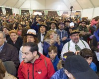 Carnavales de Getafe